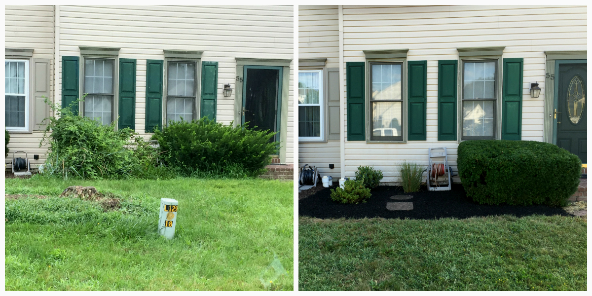 Before And After Landscaping Photos 25D